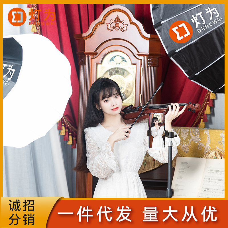 专业直播间补光灯绿幕200W服装美食视频摄影球形柔光打光灯光设备