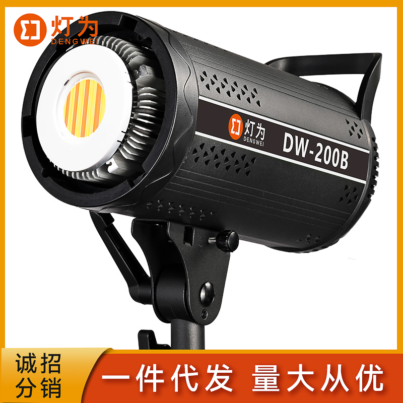 专业直播间补光灯绿幕200W服装美食视频摄影球形柔光打光灯光设备