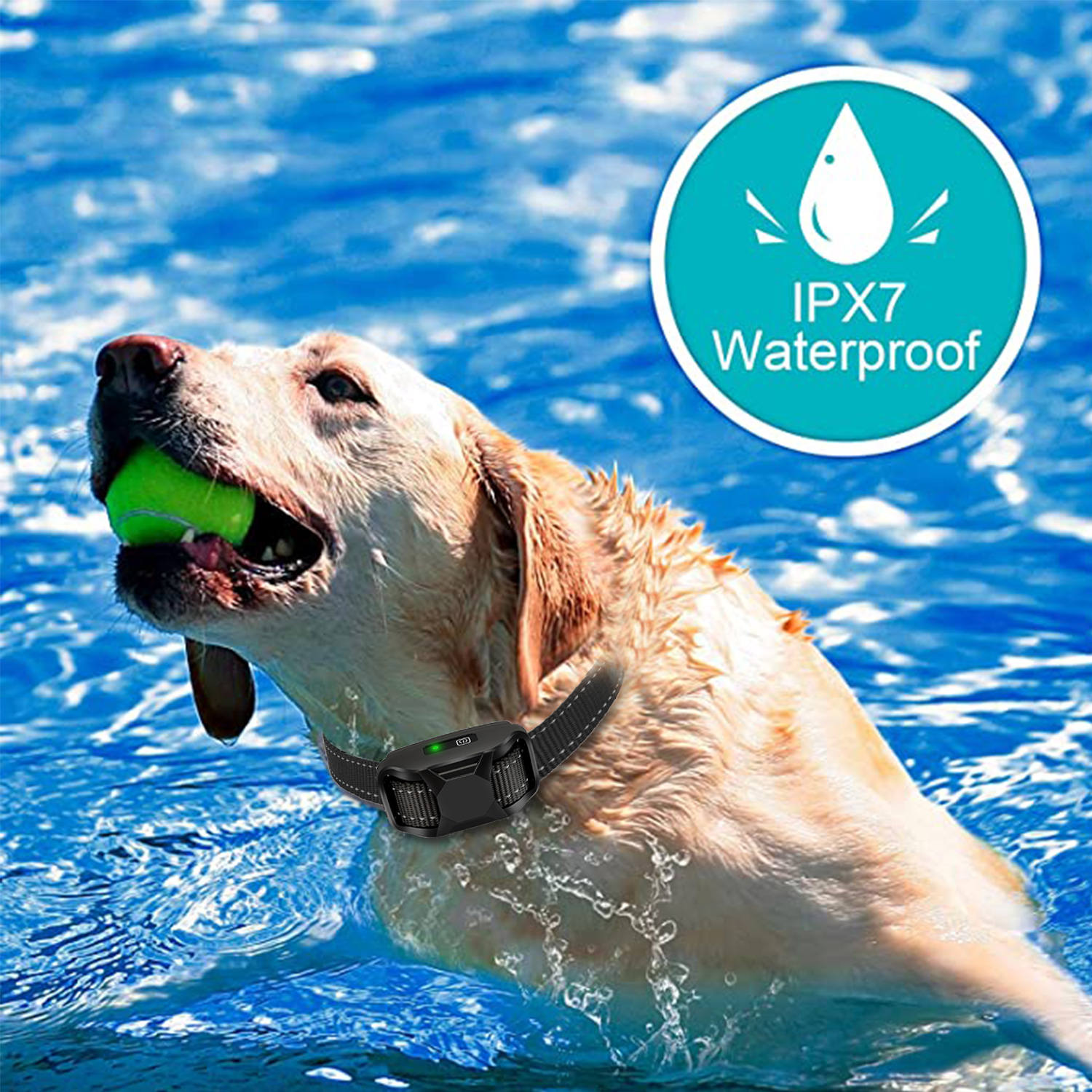 远程遥控训狗器防水一拖二震动电击警告音